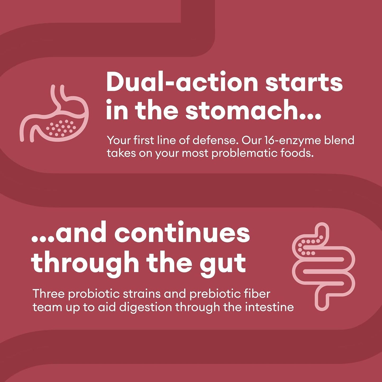Orua™ Digestive Enzymes